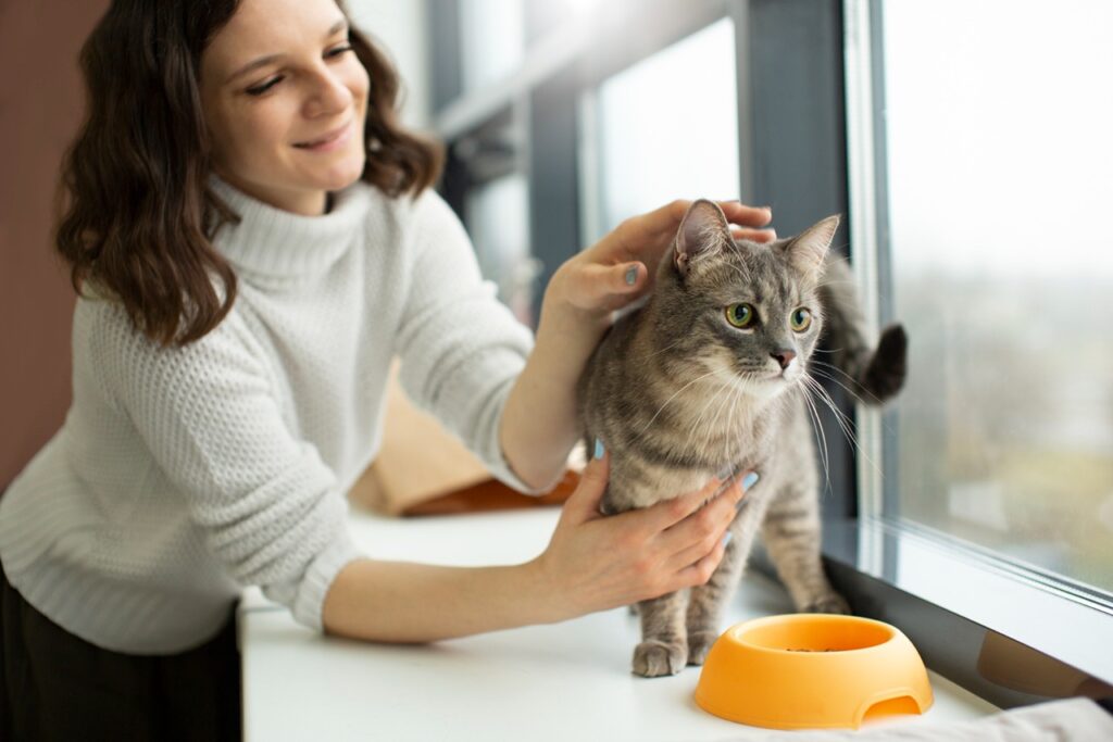Cat behavior