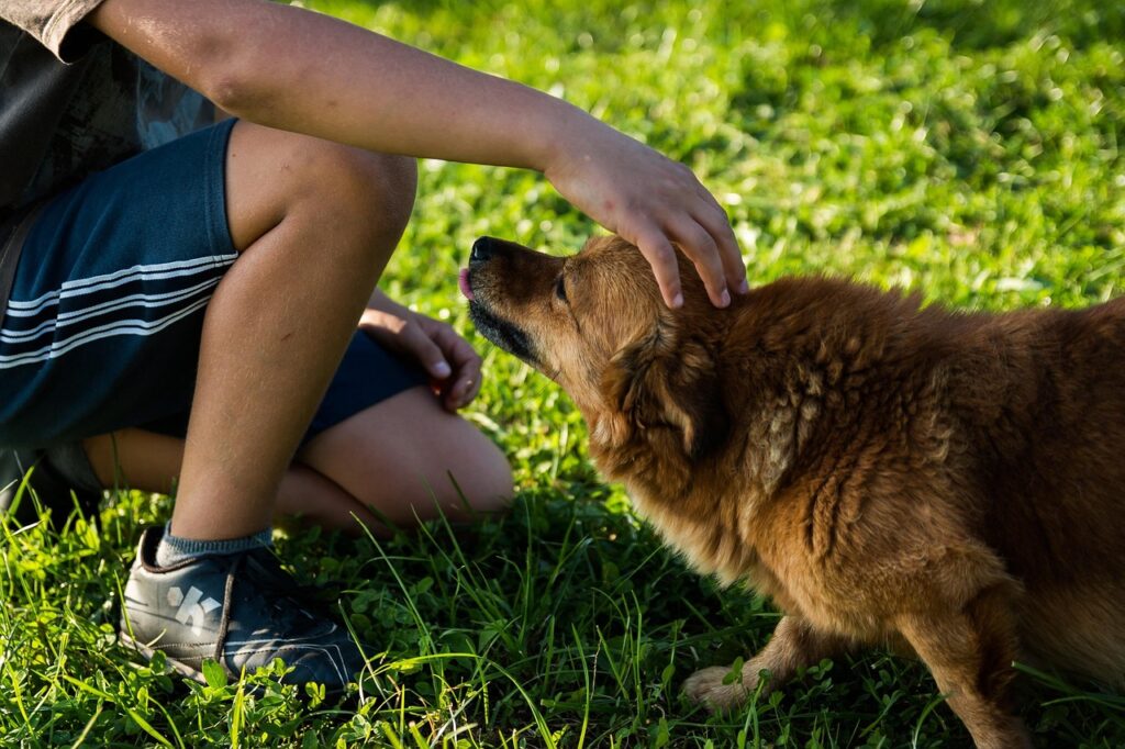 Man patting his dog