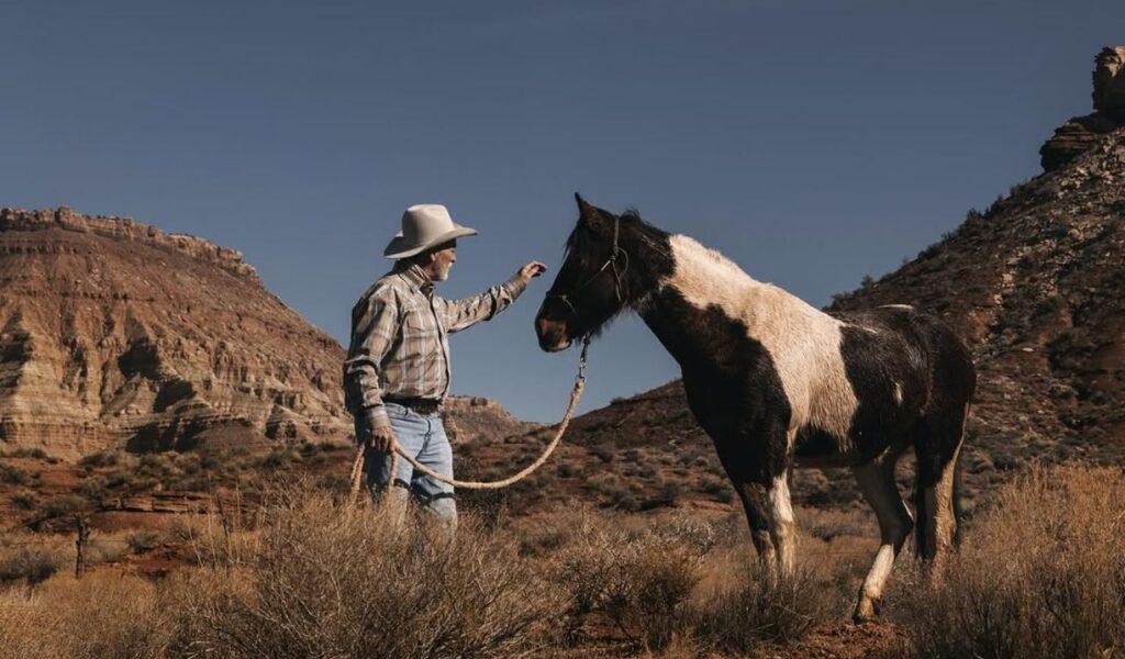 A cowboy reaches out to a wild horse on a desert trail with rocky cliffs in the background.