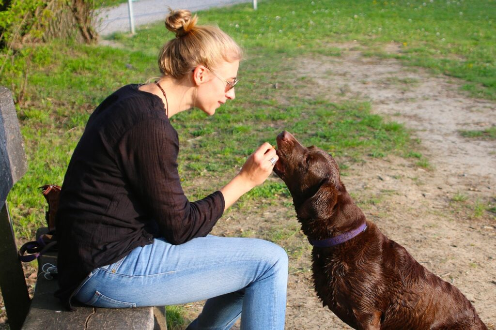 dog love