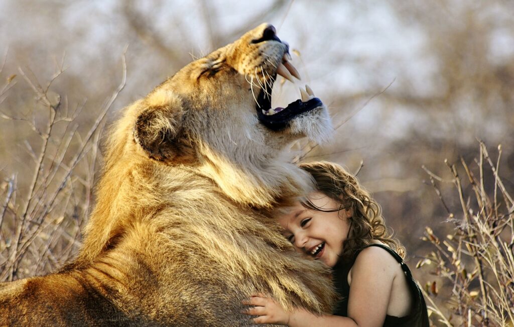lion and human