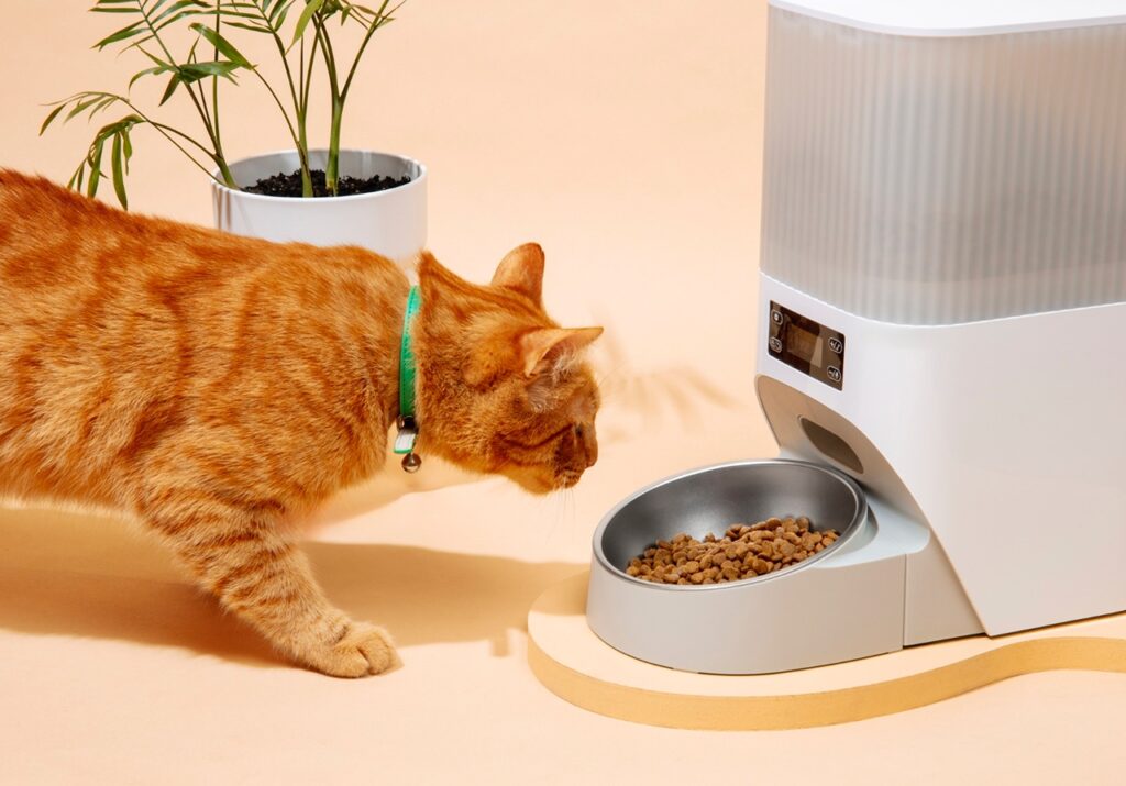 Cat smart Feeder