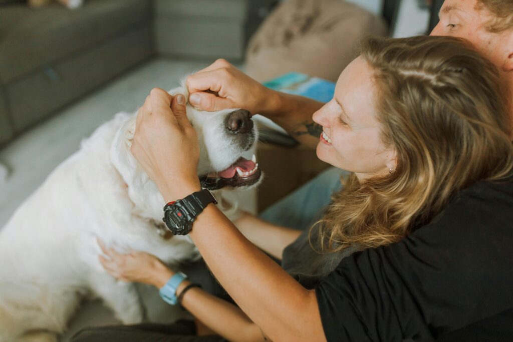 Dog petting