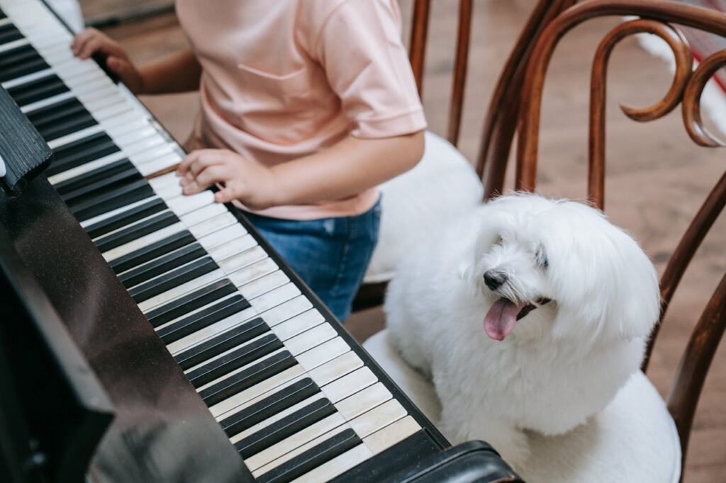Dog listening to soothing music