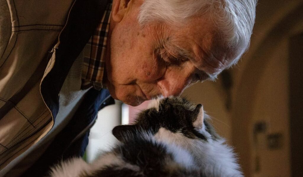 Elderly man touching foreheads with a cat.