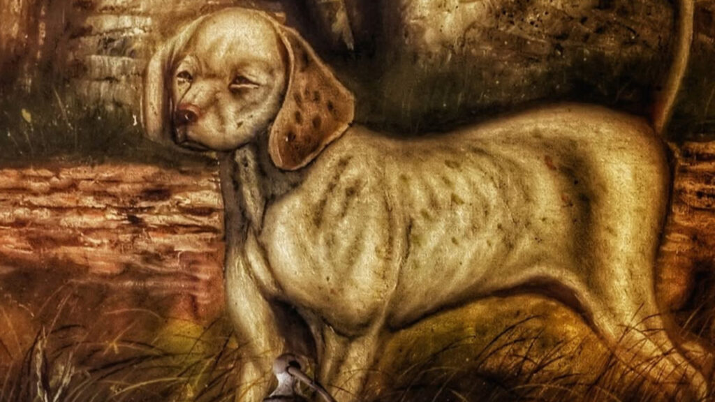 Illustration of a Talbot Hound