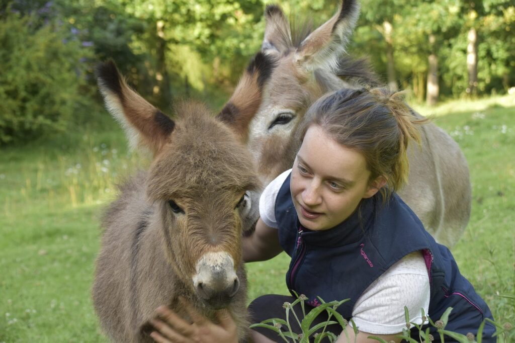  Miniature Donkey hug