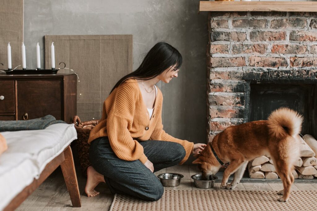 dog eating food