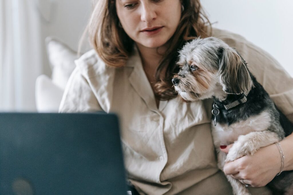 Dog with busy owner