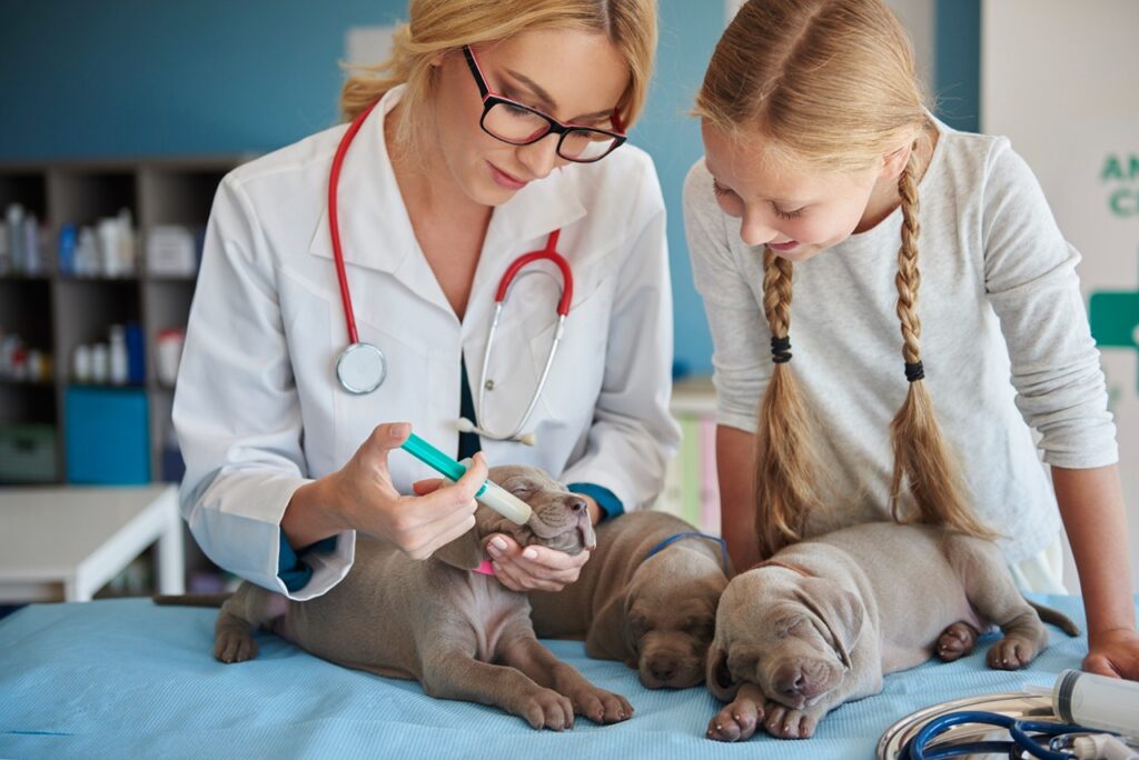 Dog Liquid medicine