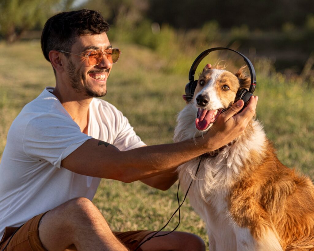 Dog with headphones