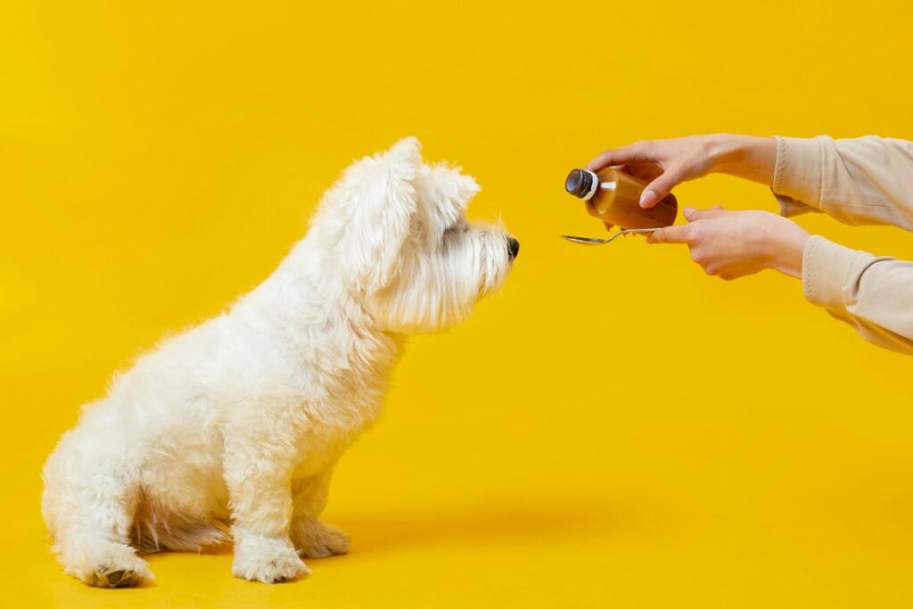 Dog Liquid Medicine