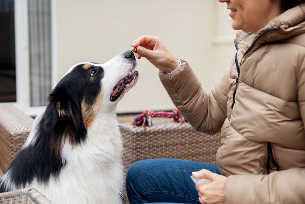 Dog treat