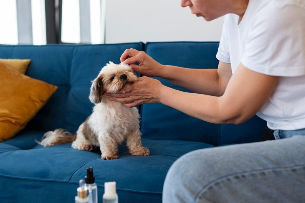 Calm Dog Owner
