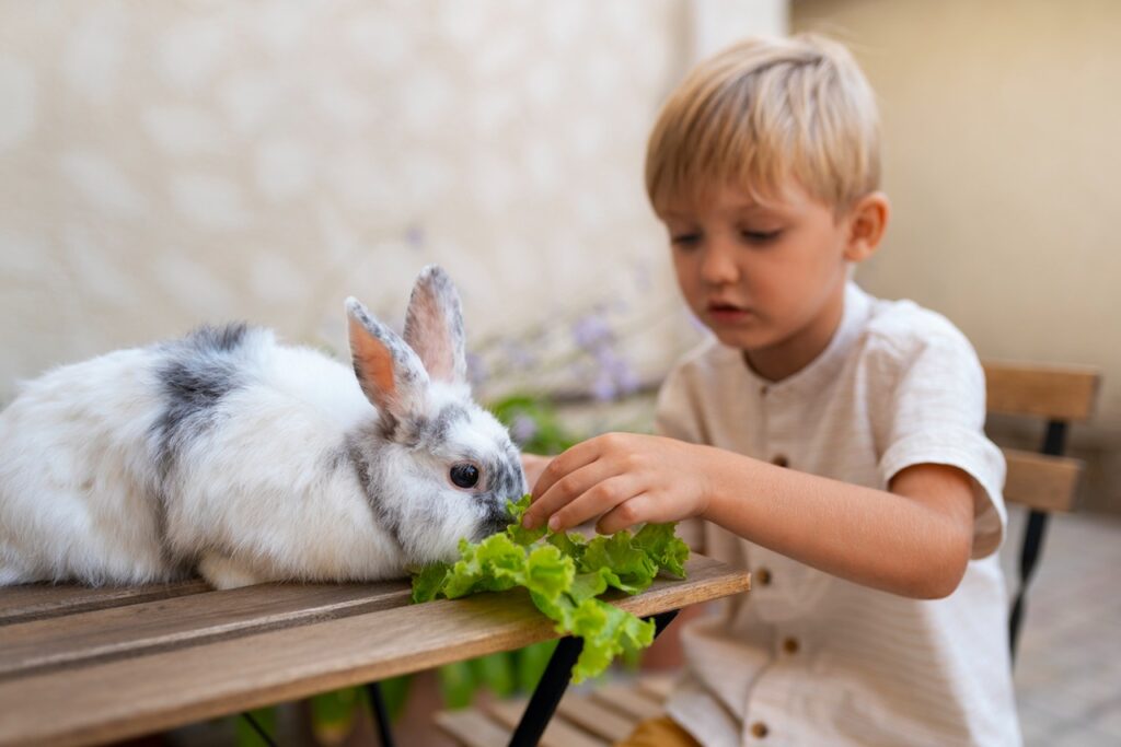 Rabbit eating