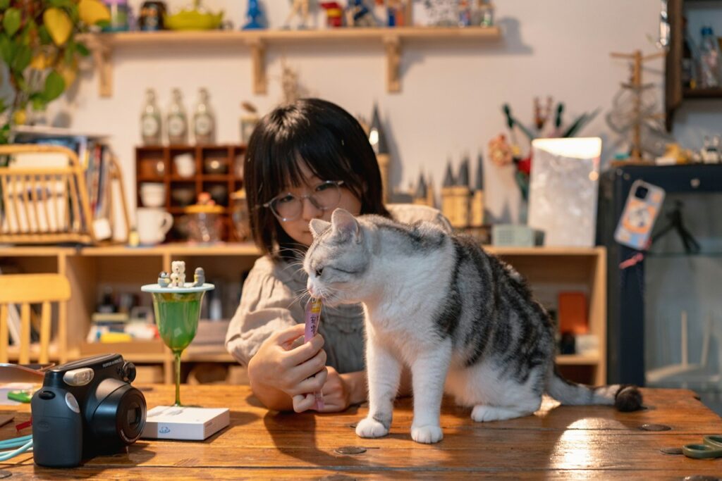 Cat with owner