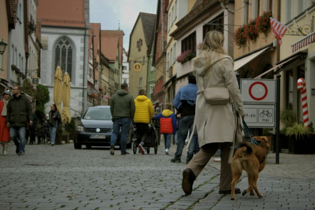 Pet Freindly Country Germany