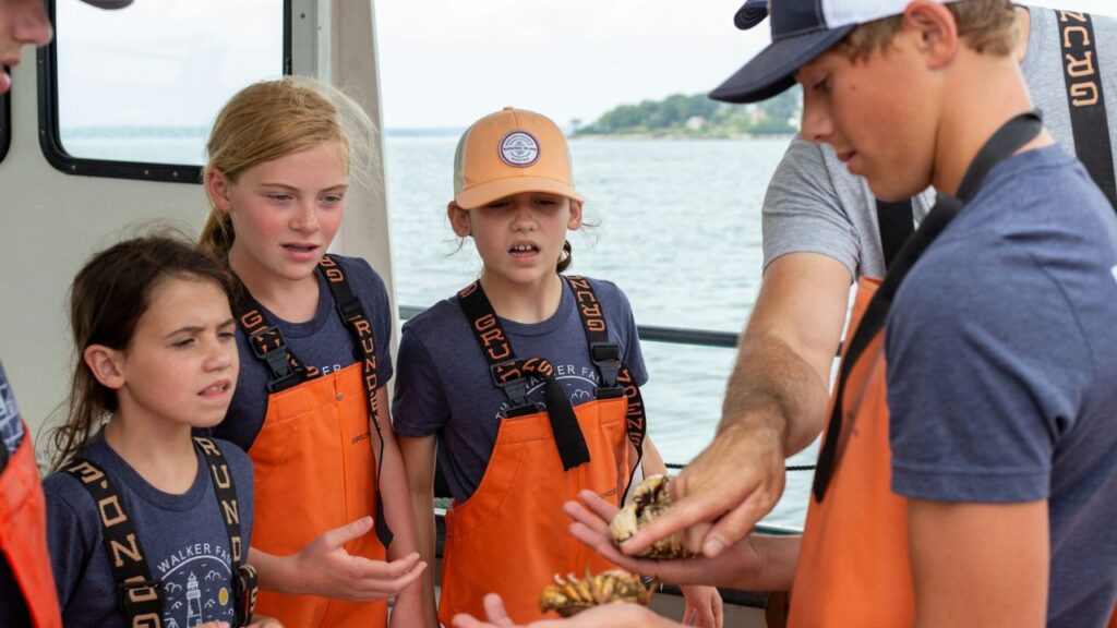 kids learning about ocean animals