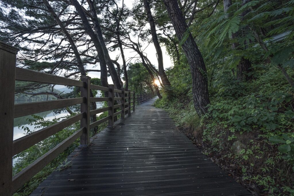 A Bridge Trail