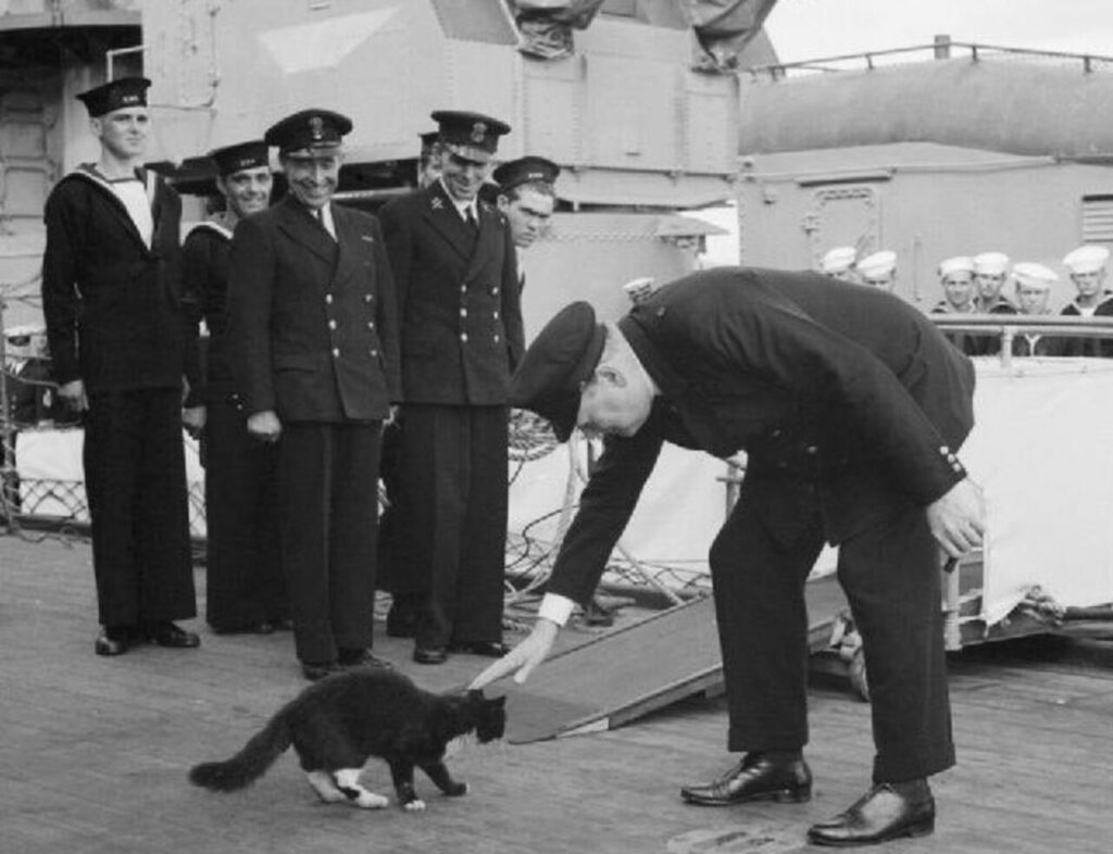 Blackie_and_Churchill