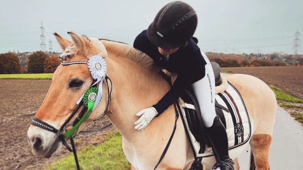 Fjord Horse