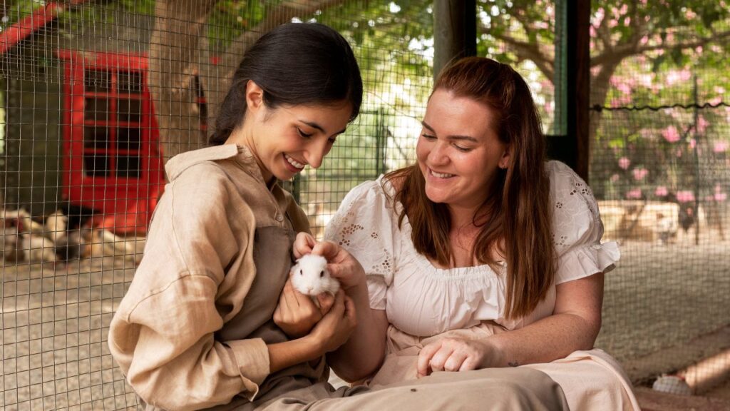 Talking about pets in community