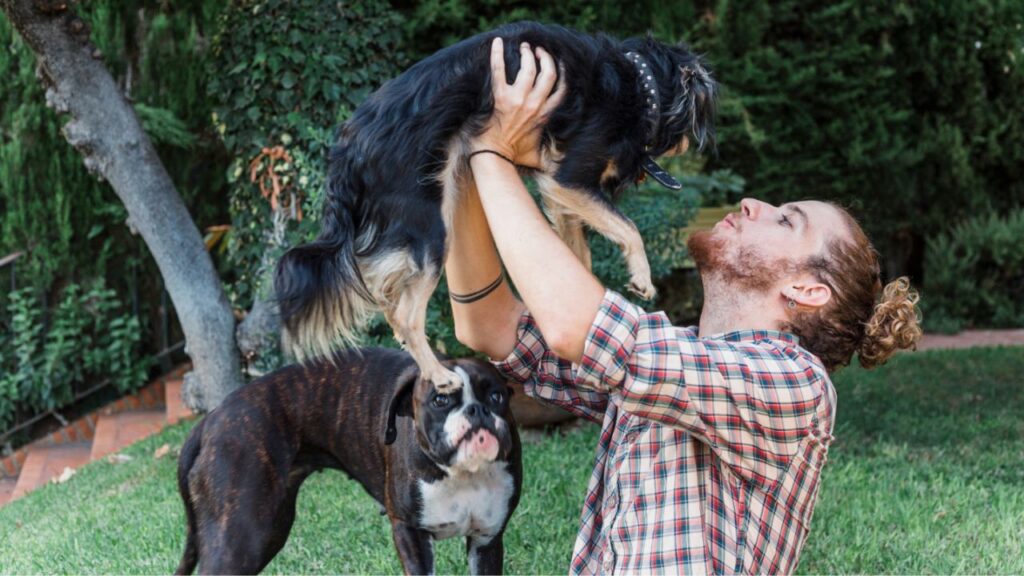 Friendly dog interactions