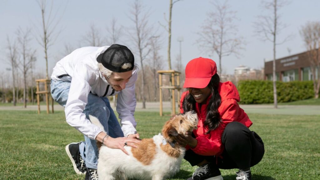 Trial Day Possibilities