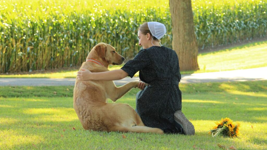 Dog with owner
