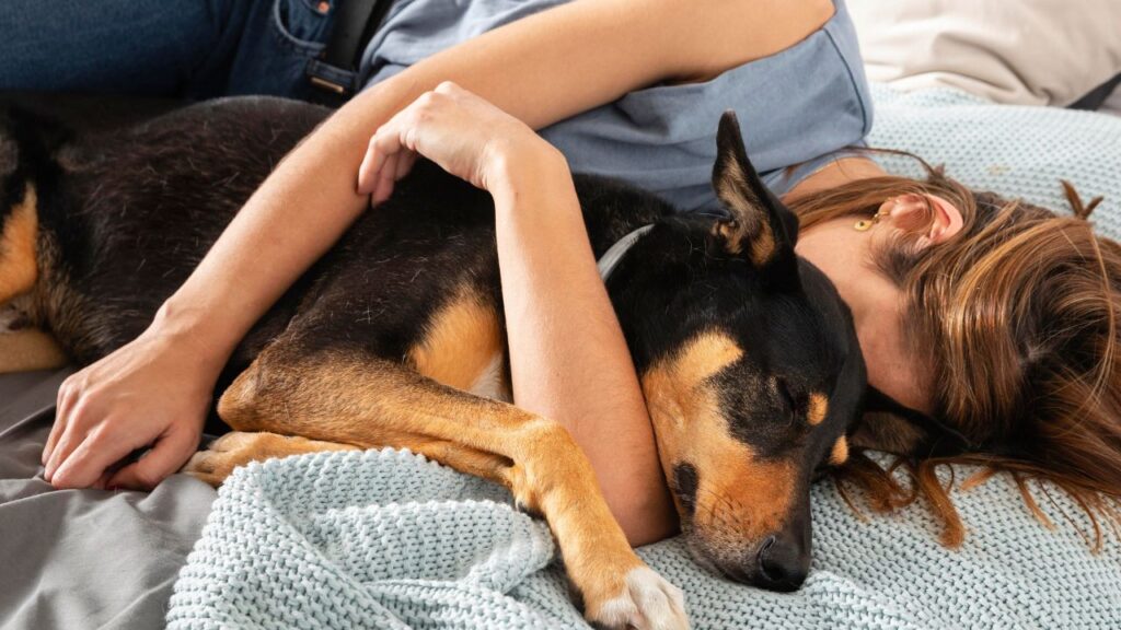 Dog sleeping with owner