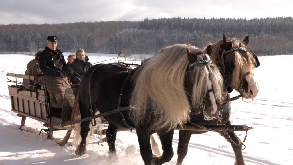 Black Forest Horse
