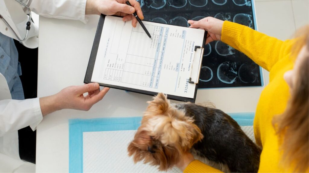 Rising Costs of Veterinary Care