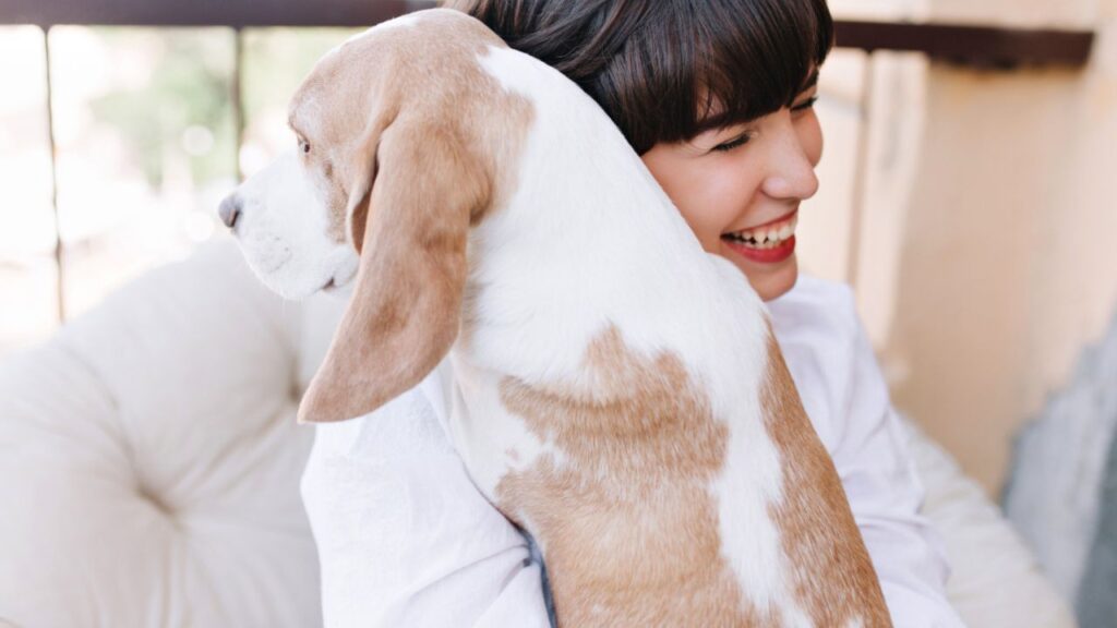Healthy-looking pet with underlying illness