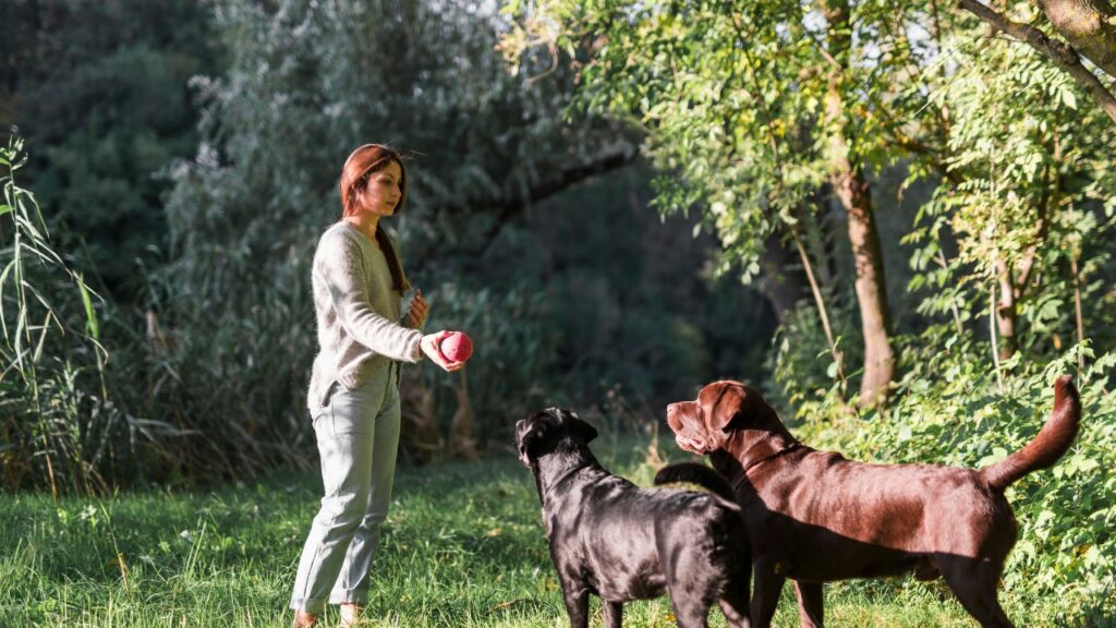 Women trained dogs