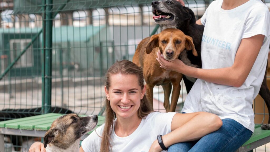 Assess Dog-to-Staff Ratio