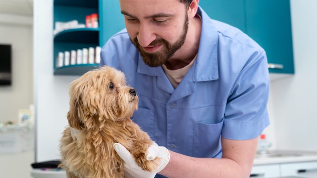 Inquire About Health Protocols