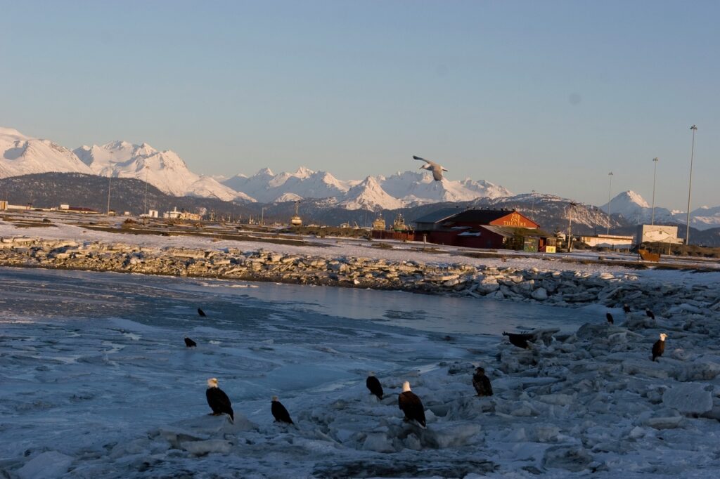 Homer-Alaska