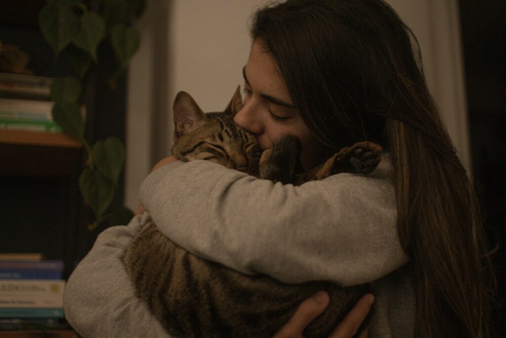 Cat with owner