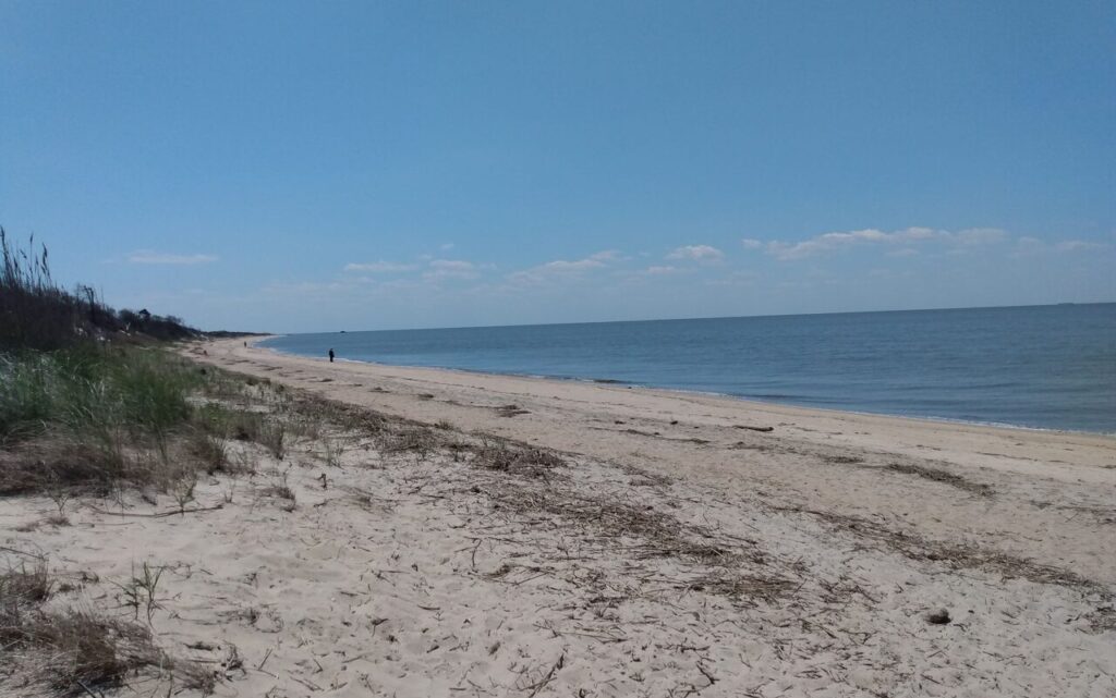 Higbee Beach