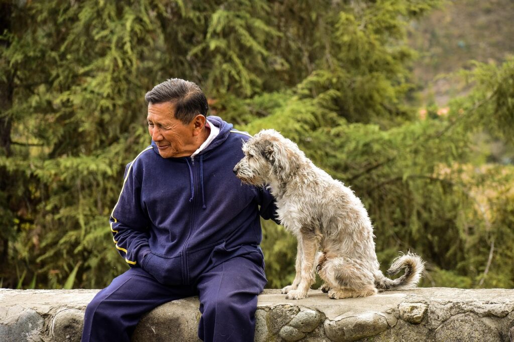 Dog with a retired senior