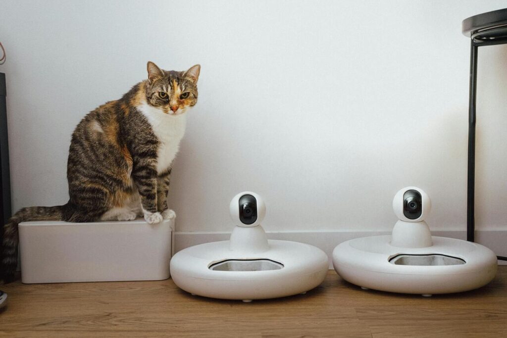 Cat next to smart devices