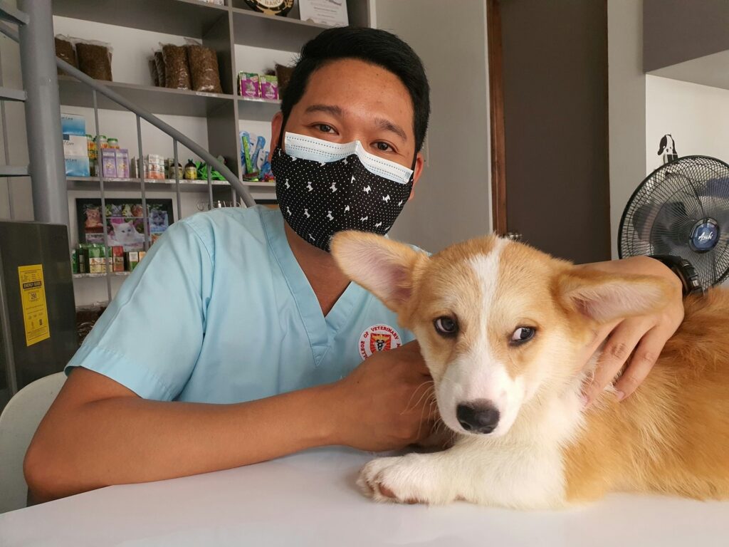 Dog with owner