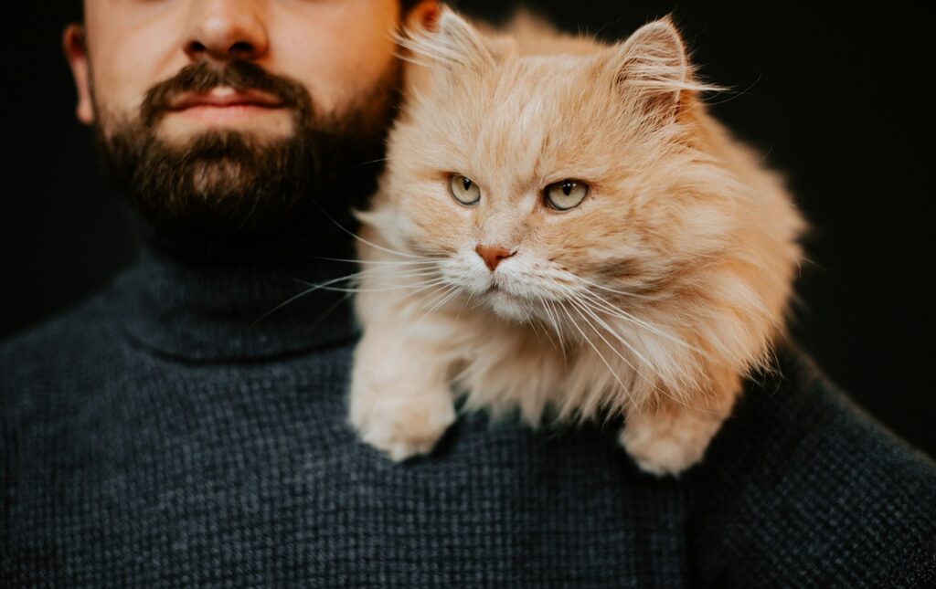 Cat with owner