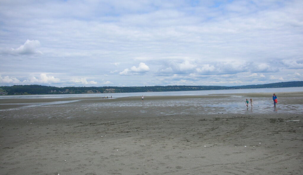 Dog Bluff Beach