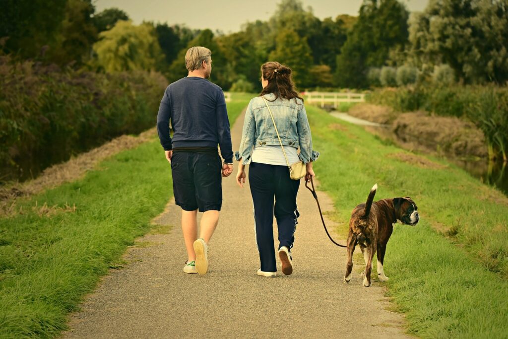 Couple with dog on a hike