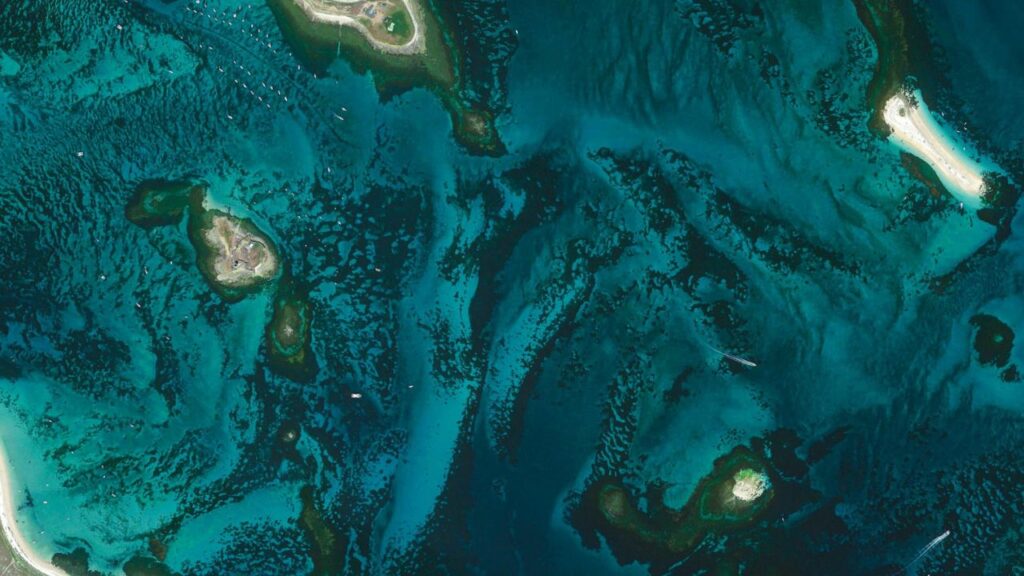 ocean data visualization