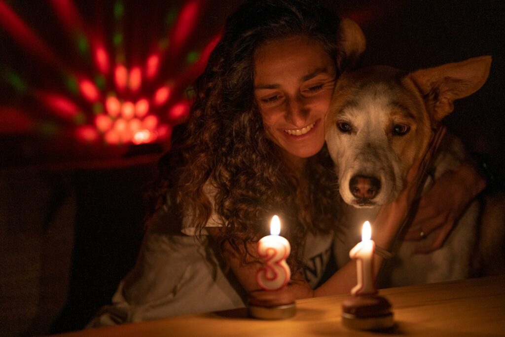 Pet Freindly Country  Brazil