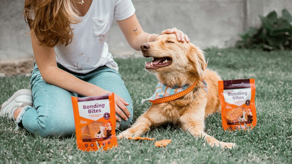 Dog Package food