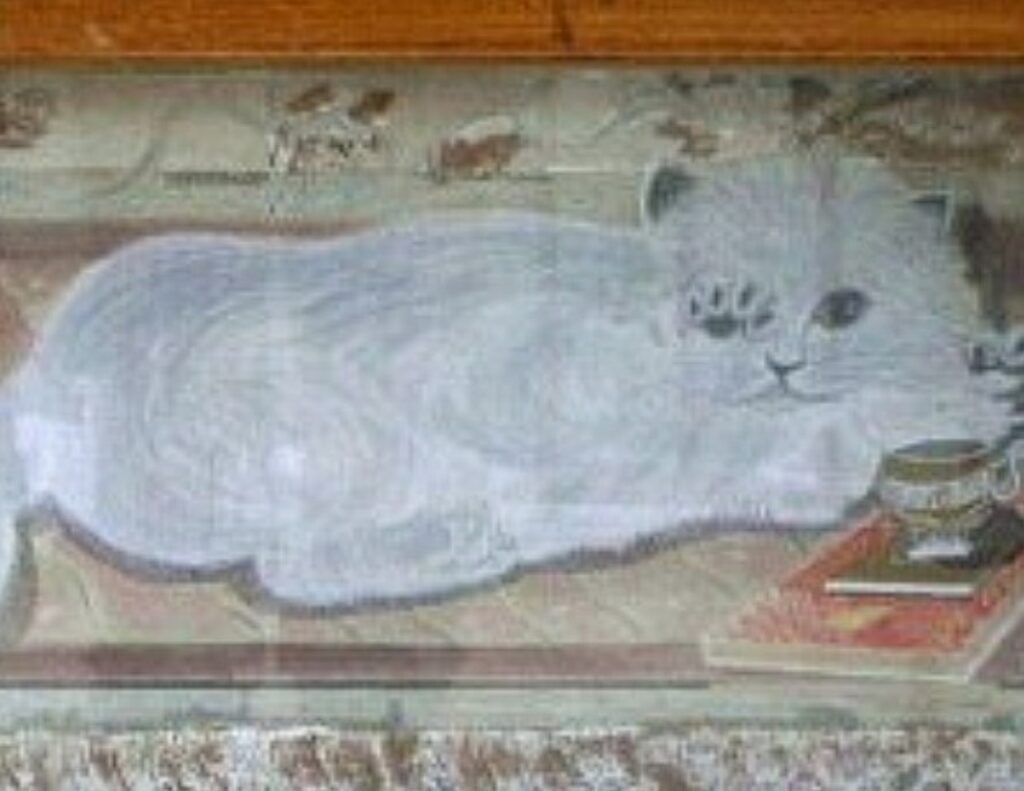 Nini the Venetian cat