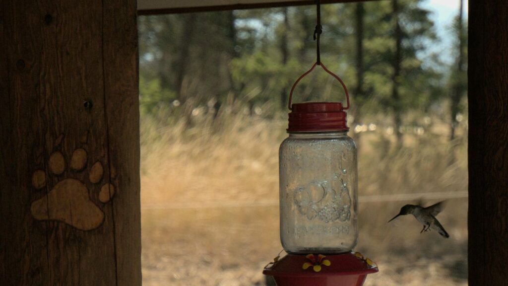 Humming Bird Feeder